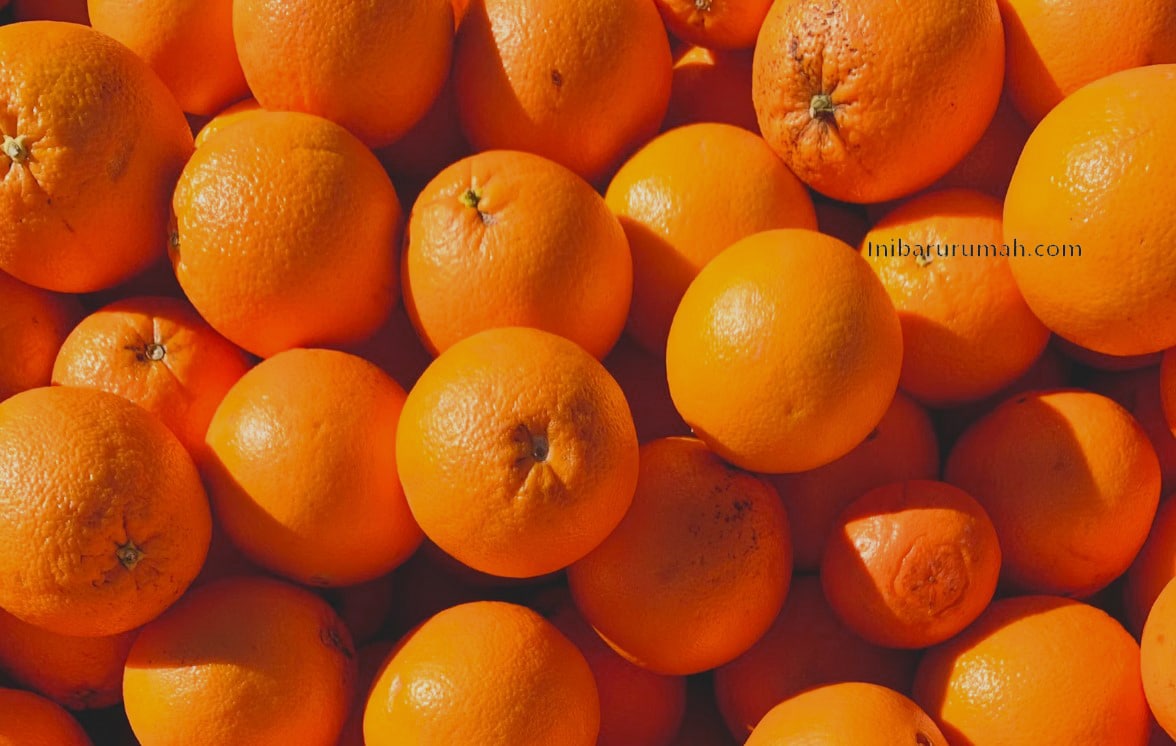 mimpi-buah-jeruk